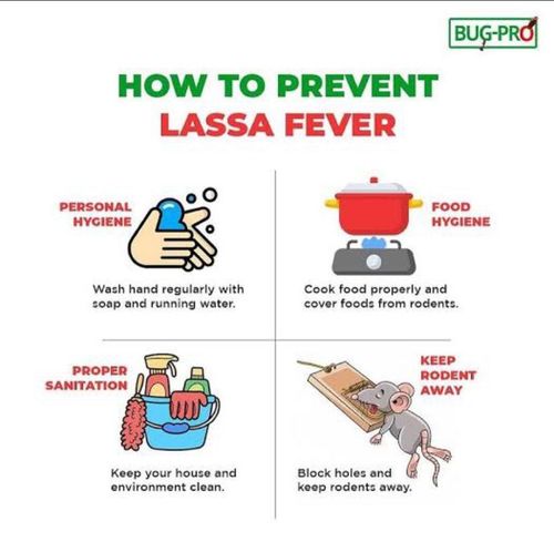 SAY NO TO LASSA FEVER WITH OUR PLASTIC MOUSE TRAP