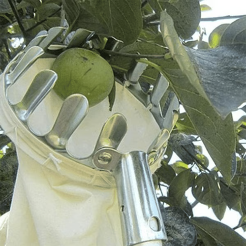 Telescopic pole Fruit Picker Head Basket(Diameter 16CM)