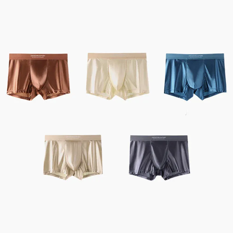 🔥🔥Men's Satin Ice Silk Briefs(3pcs)Size: XL