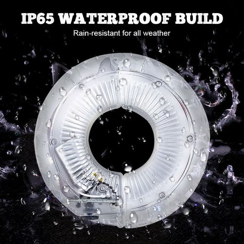 🚴 Colorful bicycle rim lights — For cool nights & more safety 🎉💡