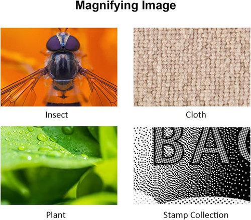 🔬1600X Zoom Digital Microscope Camera Portable Magnifier🔍