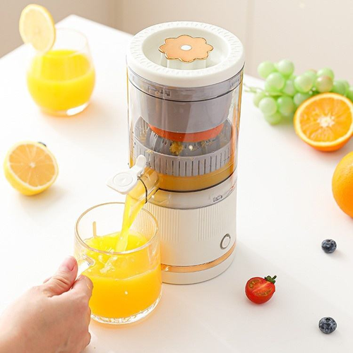 Home juicer