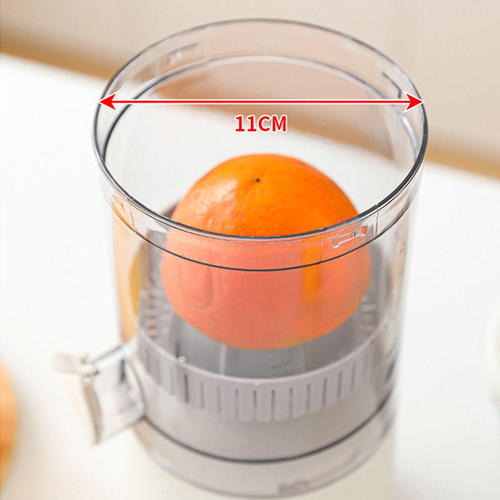 Home juicer