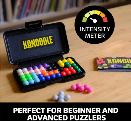 Brain Teaser Puzzles for Kids, Spatial Puzzle Games for Adults, Teens and Kids, Problem Solving Toys and Logic Puzzles, Single Player Games