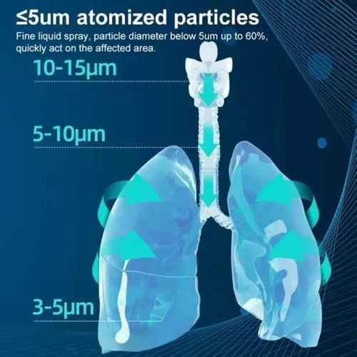 💨 Large Fine Mist Handheld Inhaler, Rechargeable Medical Grade