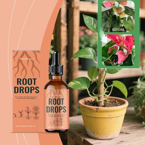 🔥Buy 1 Free 1🔥 Root Drops - Plant Revival Drops, Plant Rooting Solution & Root Growth Promoter