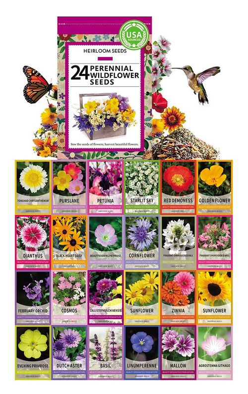 Mixed Perennial Flowers for All Seasons – 24+ Kinds