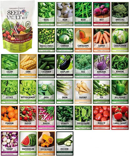 🔥Last Day 49% OFF 🔥Vegetable Seed Vault Kit | 35 Varieties