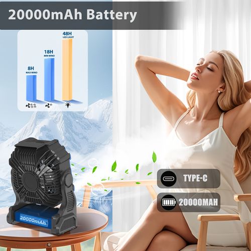 Portable Misting Fan