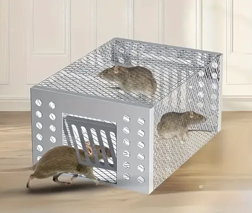 🎁 45% OFF⏳🐭Automatic Continuous Cycle Mouse Trap