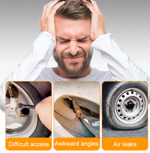 Universal Flexible Tire Valve Extension