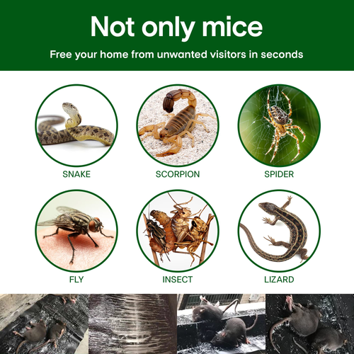 💥 SALE 50% OFF - Mouse Trap: Control Rodents Easily & Effectively!🎁Buy one get one free🎁