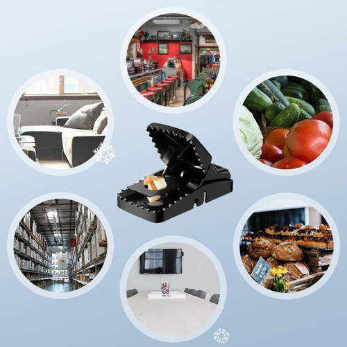 Reusable Rat Trap - Highly Sensitive Trigger, Safe for Children and Pets, Eco-Friendly Design🏡🔧