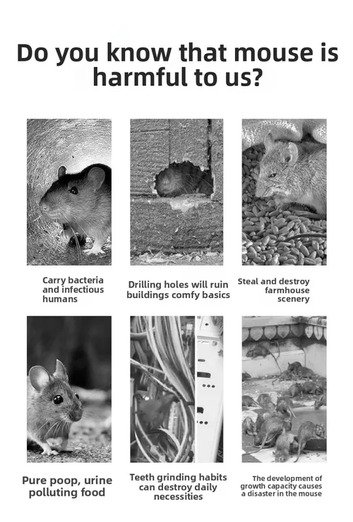 🎁 45% OFF⏳🐭Automatic Continuous Cycle Mouse Trap