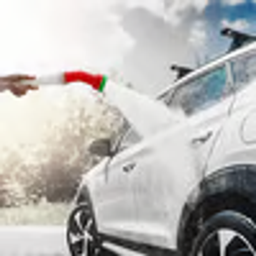 Universal Garden Plant Watering Sprinkler Nozzle