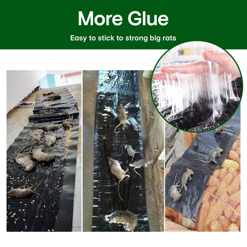 💥 SALE 50% OFF - Mouse Trap: Control Rodents Easily & Effectively!🎁Buy one get one free🎁