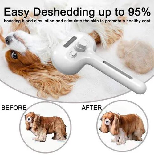 Pet Electric Spray Massage Comb, White