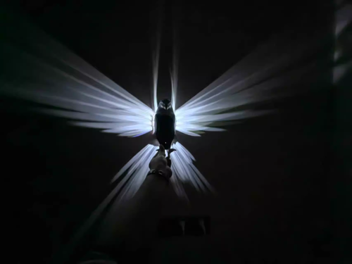 Eagle Projection Wall Lamp