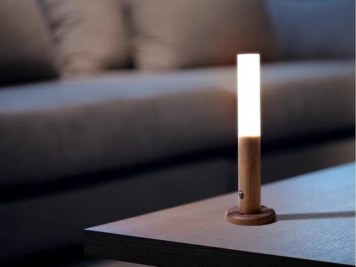 MagneticGo Portable Multi - Scene Lamp