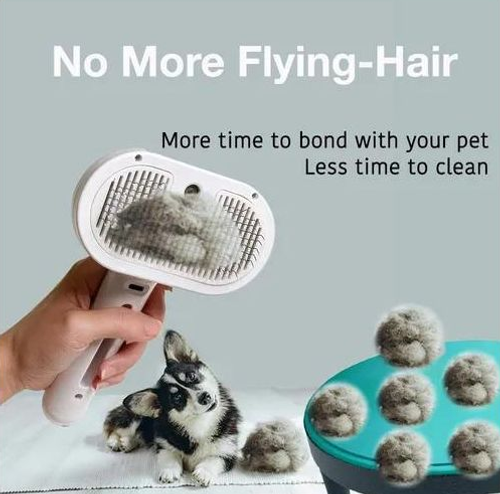 Pet Electric Spray Massage Comb, White