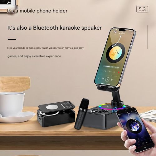 Microphone, karaoke speaker, and mobile phone holder