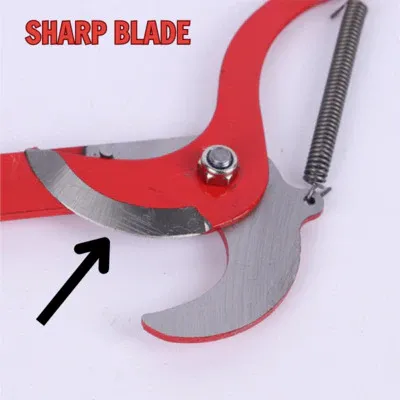 (HOT DEAL) High-altitude Branch Cutting Scissors Are Safe And Labor-Saving