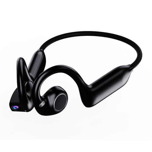 AI-powered earphones