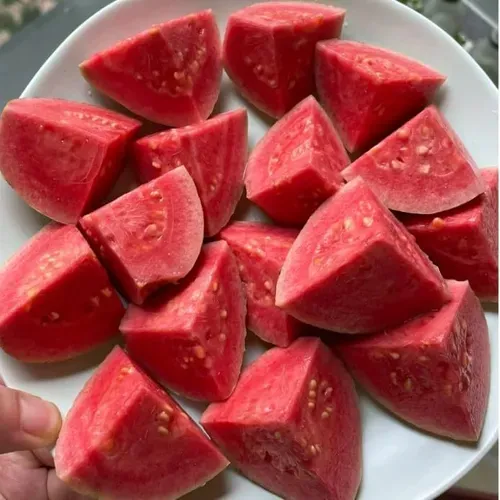 Guava seeds（2000 pills）