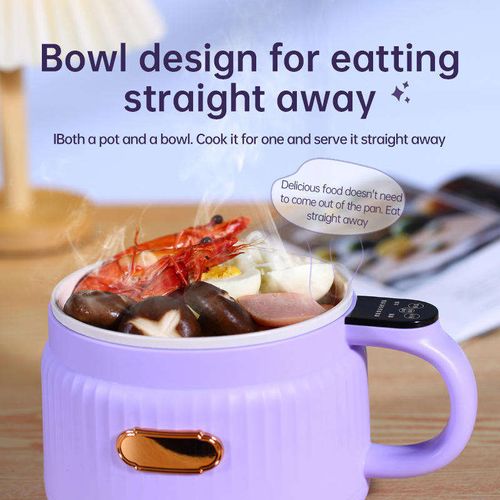 Mini electric hot pot
