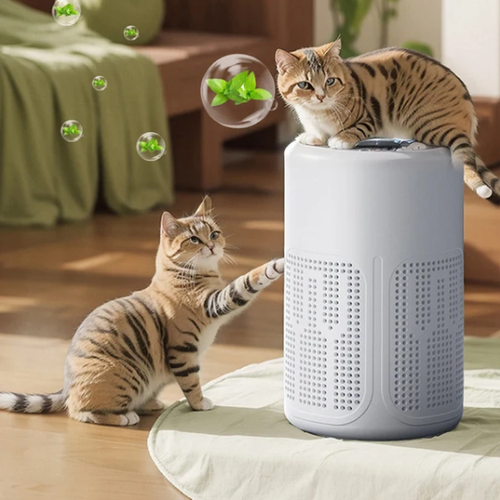 🥳 Silent Air Purifier – Multi‑layer filtration, ultra‑quiet sleep mode. Covers 30‑50m², one‑touch operation. Breathe clean, rest easy. No more sneezing at night! 🛌✨