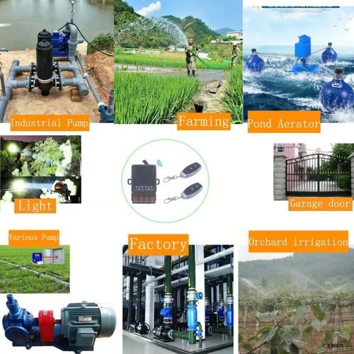 🔥 Wireless Remote Switch🔧（2 remote control）220v