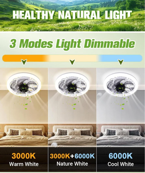 2-in-1 Mute Adjustable Fan Light with Remote Control