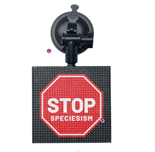 Full Color LED Screen：Create a One-of-a-Kind LED Display