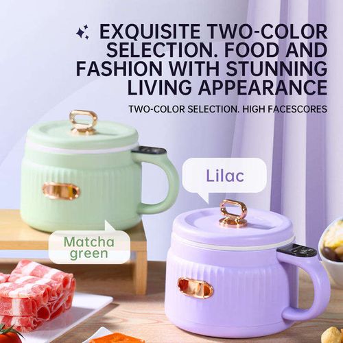 Mini electric hot pot