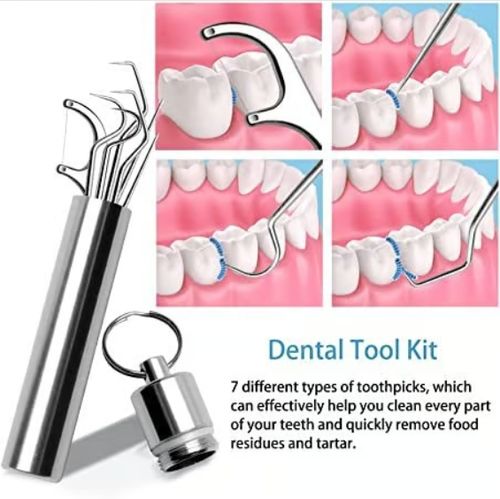 🔥Stainless Steel Toothpick Set 9pcs
