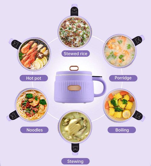 Mini electric hot pot