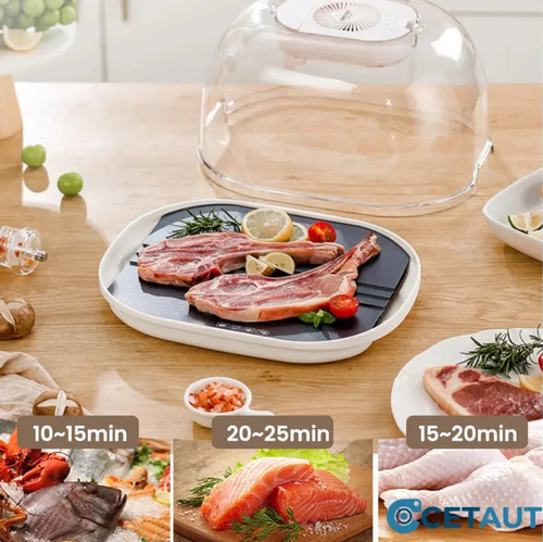 Home Frozen Meat Ingredients Thawing Machine 🥩