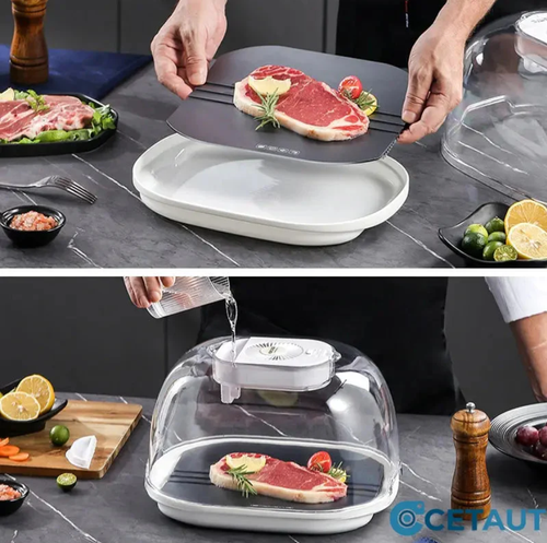 Home Frozen Meat Ingredients Thawing Machine 🥩