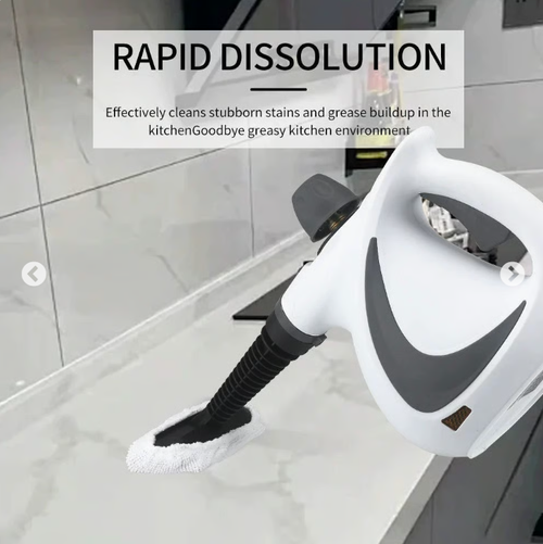Saker Steam Disinfection Cleaner