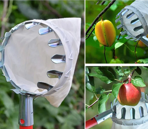 🍎 Fruit Picker with Collection Basket（3.2 meters）