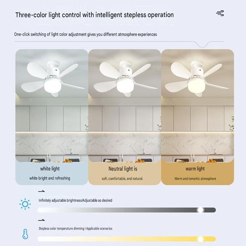 Screw-mounted ceiling fan light with detachable fan blades, bedroom ceiling light