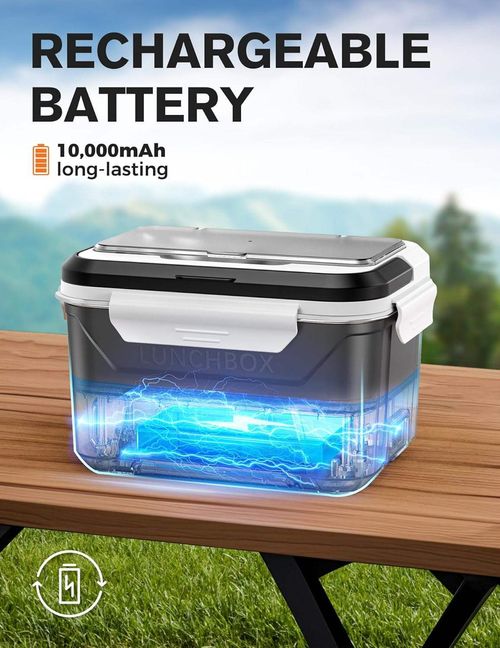 Custom Development Portable Cordless Food Warmer Heated Lunch Box for Adults Battery Powered Automatic Heating Insulated Bag