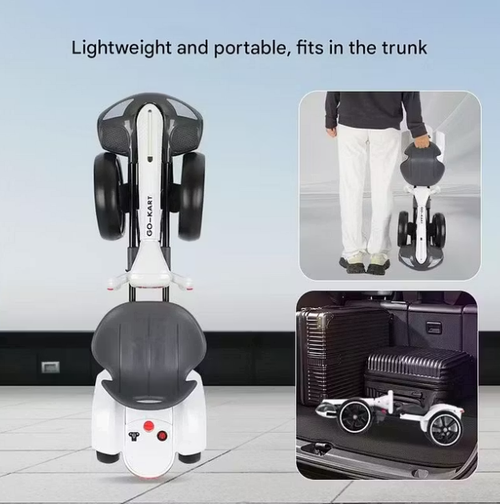 Electric Go Kart, Outdoor Racing Pedal Cart Car for Teens and Adults, Best for Christmas, Great for Thanksgiving