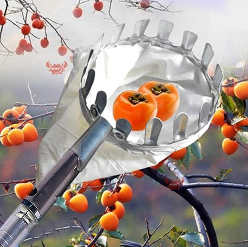 🍎 Fruit Picker with Collection Basket（3.2 meters）