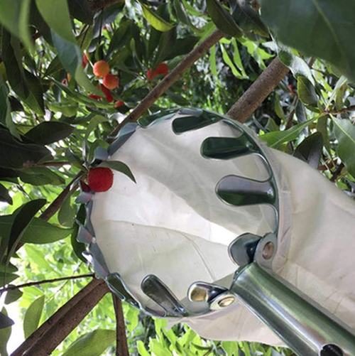 🍎 Fruit Picker with Collection Basket（3.2 meters）