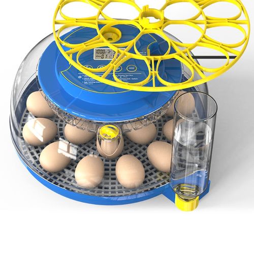 😍 Multi-functional incubator —Auto Egg Turning🥚