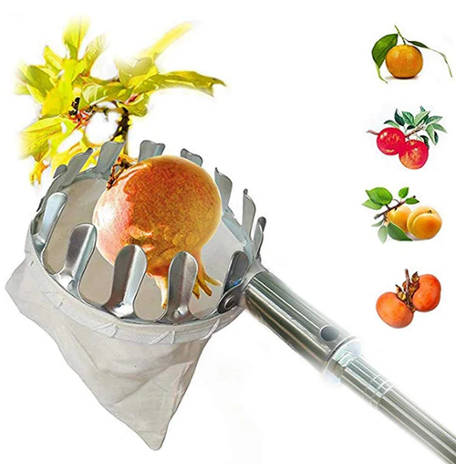 🍎 Fruit Picker with Collection Basket（3.2 meters）