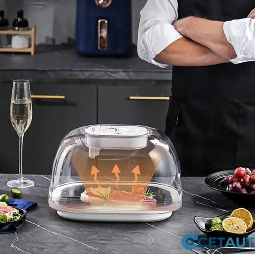 Home Frozen Meat Ingredients Thawing Machine 🥩