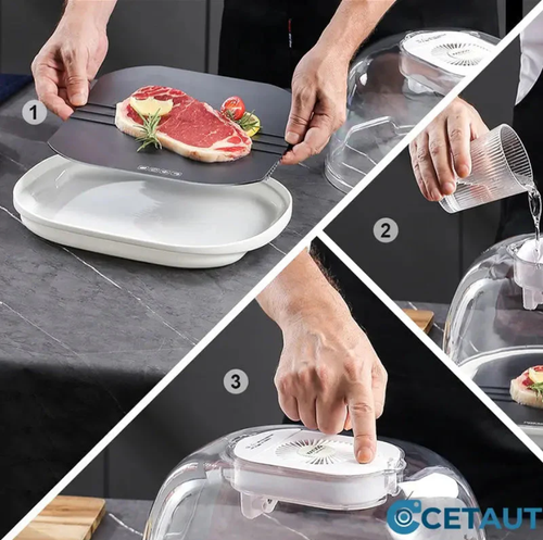 Home Frozen Meat Ingredients Thawing Machine 🥩