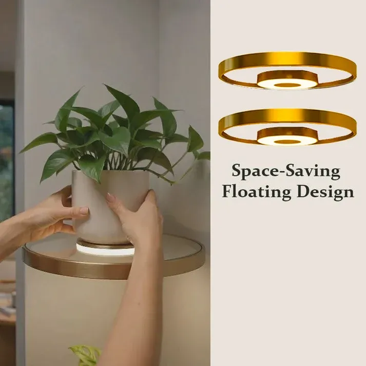 Floating Wall Shelf with Built-in Ambient LED Light